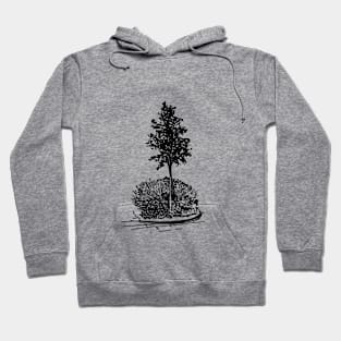 Tree and flowerbed. City landscape on your things. Hoodie